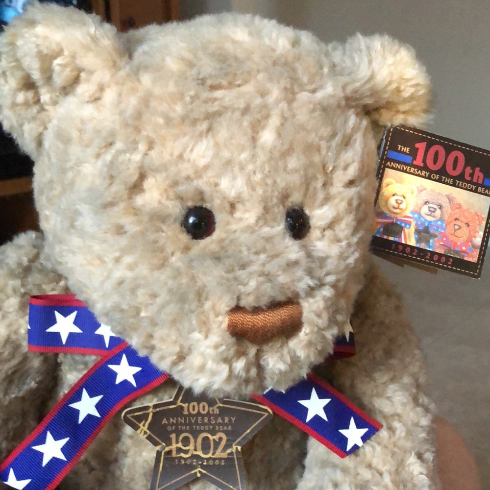 100th Anniv of the Teddy Bear tagsWish Bear 2002